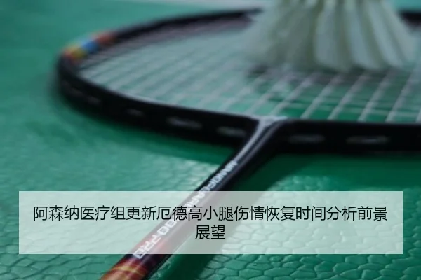 阿森纳医疗组更新厄德高小腿伤情恢复时间分析前景展望